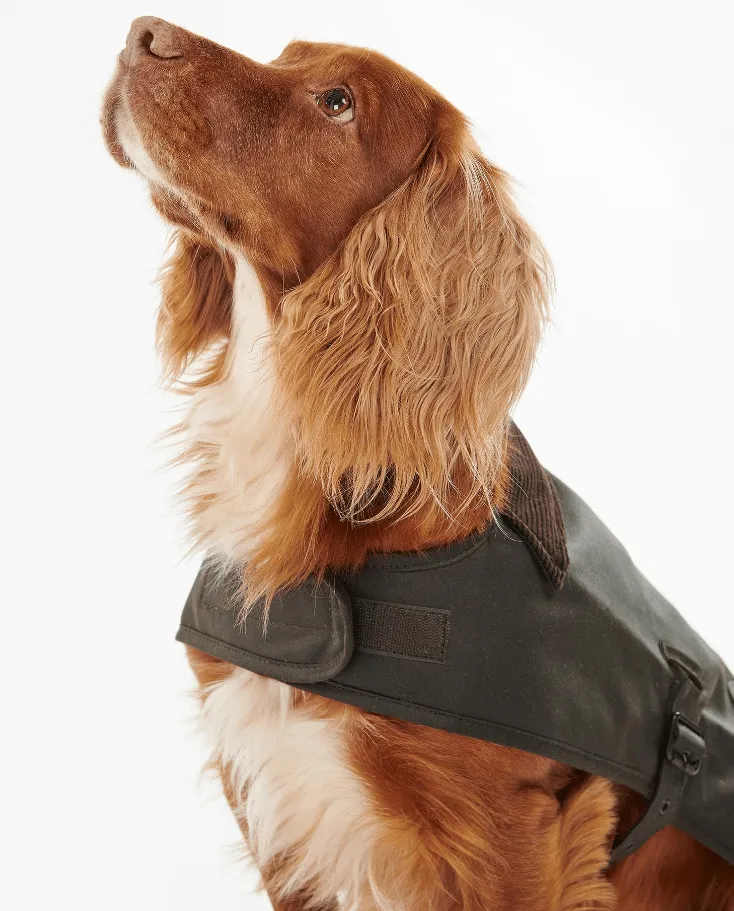 Barbour Wax Dog Coat -  at CCW Clothing