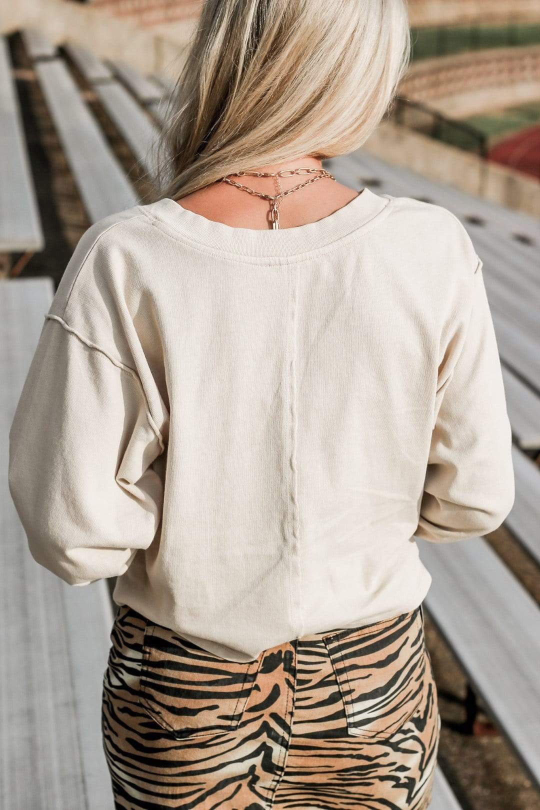 Beige V Neck Crop Sweater